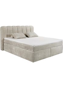 Boxspringbett ED EXCITING DESIGN "Gibsons in der Gr&ouml;&szlig;e 200x220cm, &Uuml;berl&auml;nge", taupe, B:225cm L:240cm, 100% Polyester, Komplettbetten, Boxspringbett, erh&auml;ltlich in verschiedenen Farben