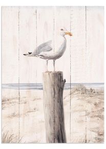 Wandbild OTTO HOME "M&ouml;we mit Holzoptik", farbe bild(er): wei&szlig;, B:60cm H:80cm T:1cm, Alu Dibond, Bilder, Wandbild