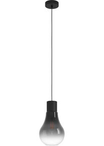Eglo H&auml;ngeleuchte "CHASELY", schwarz (schwarz, grau), &Oslash; 20cm H: 110cm, 1 Stk., Leuchten, H&auml;ngeleuchte in schwarz aus Stahl - exkl. E27 - 40W, H&auml;ngeleuchte