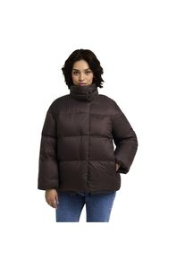 Daunenjacke Jack Wolfskin "ICY HILL JKT W RDS", Damen, Gr. L, braun (peat), Obermaterial: 100% Polyamid. Futter: 100% Polyester. Wattierung: 90% Entendaune, 10% Federn, normal, Jacken Daunenjacke, mit verstellbarer Kapuze
