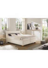 Boxspringbett Hapo "Hana, in verschiedenen Breiten und H&auml;rtegraden erh&auml;ltlich", cremewei&szlig;, B:222cm L:220cm, Komplettbetten, Boxspringbett, Bett mit samtartigem Stoff bezogen, inkl. Topper