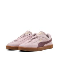 Sneaker Puma "CLUB II ERA SUEDE", Herren, Gr. 42,5, misty pink, rich cocoa, Leder, unifarben, Schuhe Sneaker, f&uuml;r aktiven Alltag, mit SOFTFOAM+ Einlegesohle, mit Gummilaufsohle