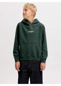 Jack & Jones Kapuzensweatshirt JACK & JONES JUNIOR "JJESOHO SWEAT HOOD NOOS JNR", Jungen, Gr. 176, gr&uuml;n (scarab), angeraute Sweatware, Obermaterial: 80% Baumwolle, 20% Polyester, bedruckt, relaxed fit normal, Rundhals, Rippb&uuml;ndchen, Sweatshirts Kapuzensweatshirt, Baumwollmischung, relaxed fit