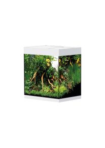 Oase StyleLine Aquarium wei&szlig; 85