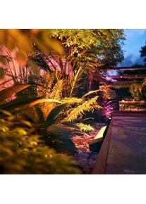 PHILIPS Hue Lampe de sol, LED, 8718696174425,