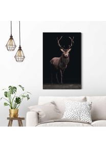 Deco-Panel OTTO HOME "Hirsch", braun (farbe bild(er): schwarz braun), B:60cm H:90cm, MDF, Papier, Bilder, Deco-Panel, 60/90 cm