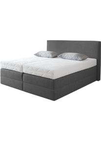 Boxspringbett, grau (anthrazit), B:215cm L:205cm, Microvelours (100% Polyester), Westfalia Schlafkomfort, Komplettbetten, Boxspringbett, wahlweise mit Kaltschaum-Topper