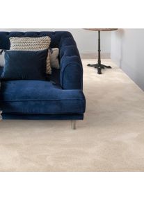 Teppichboden ANDIAMO "Levin, Velours, Gesamth&ouml;he 10 mm, Luxusklasse LC2", beige (hellbeige), B:500cm L:450cm, Kunstfaser, Teppiche, Teppichboden, Uni Farben, Breite 400 cm oder 500 cm, weiche Qualit&auml;t