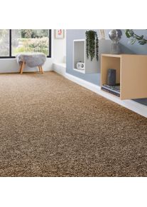 Teppichboden ANDIAMO "Matz, Schlinge, Gesamth&ouml;he 6 mm, Luxusklasse LC1", braun (dunkelbraun), B:500cm L:450cm, Kunstfaser, Teppiche, Teppichboden, meliert, Breite 400 cm oder 500 cm, strapazierf&auml;hig & pflegeleicht