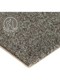 Teppichboden ANDIAMO "Catania, Velours, Gesamth&ouml;he 7,5 mm, Luxusklasse LC1", grau (anthrazit), B:400cm L:300cm, Kunstfaser, Teppiche, Teppichboden, meliert, Breite 400 cm oder 500 cm, strapazierf&auml;hig & pflegeleicht