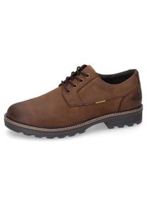 Schn&uuml;rschuh Camel Active, Herren, Gr. 43, braun (dunkelbraun), Nubukleder, unifarben, Schuhe Schn&uuml;rschuh, Trachtenschuh, Freizeitschuh mit gepolsterter Innensohle