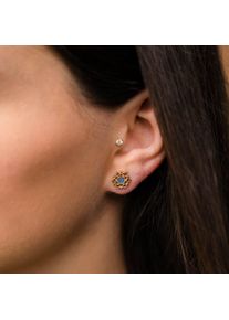 Holzkern Composition Earrings Women Gold and Blue Nacre