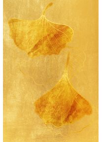 Leinwandbild queence "Ginkgobl&auml;tter in Gold, Canvas Bild von Hand bespannt", farbe bild(er): gold, B:80cm H:120cm T:2cm, Bilder, Leinwandbild, Zeitlose Ginkgo-Motive in hellen Farben