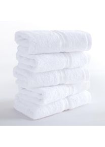 Gaestehandtuecher HAMMETEX "5er Set, 30x50 cm, weich & saugstark, 100% Baumwolle", wei&szlig;, B:30cm L:50cm, Frottier, Frottee, Handt&uuml;cher, Gaestehandtuecher, mit Bord&uuml;re, einfarbig, Schlaufe, 100% Baumwolle Frottee