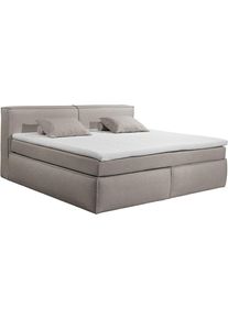 Boxspringbett ED EXCITING DESIGN "Sandon", stone, B:185cm L:227cm, 100% Polyester, Komplettbetten, Boxspringbett, 7-Zonen-Federkern H3/H4 mit Kokosmatte und Topper (waschbar)