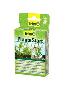 Tetra PlantaStart Pflanzend&uuml;nger