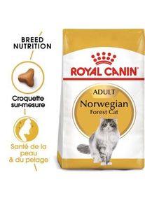 Royal Canin Norv&eacute;gien Adulte Croquettes Chat 2 kg