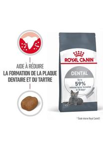 Royal Canin Dental Care Croquettes Chat 3,5 kg