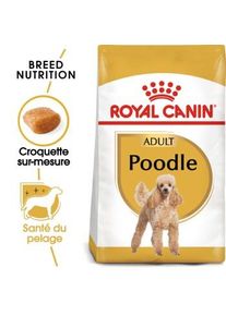 Royal Canin Caniche Adulte Croquettes Chien 1,5 kg