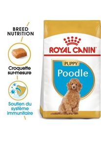Royal Canin BHN Poodle Puppy 3 kg