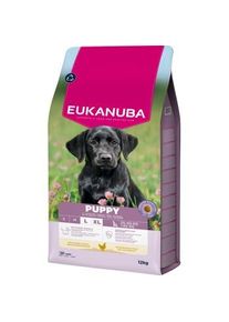eukanuba Croquettes pour chiot de grande race au poulet 12 kg