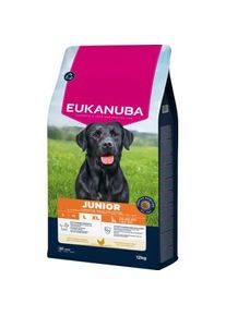 eukanuba Croquettes pour Chien Junior L/XL - Riche en Poulet Frais - 12KG