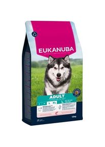 eukanuba croquettes pour chien, adulte, grande taille, Saumon 12 kg