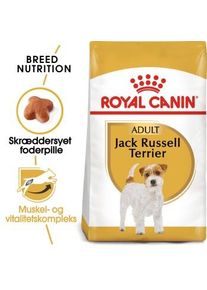 Royal Canin Jack Russell Terrier Adulte Croquettes Chien 3 kg