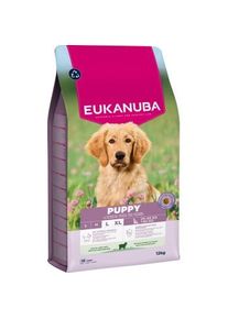 eukanuba croquettes pour chiot grande taille, agneau et riz 12 kg
