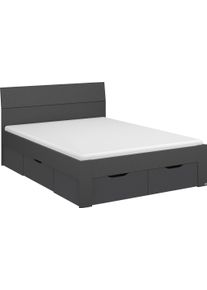 Bett Rauch "Einzelbett Doppelbett Stauraum FLEXX Breiten 90/140/180 cm", grau (graumetallic), B:145cm H:90cm L:209cm, Betten, Bett, Einzelbett Doppelbett Stauraum FLEXX Breiten 90/140/180 cm