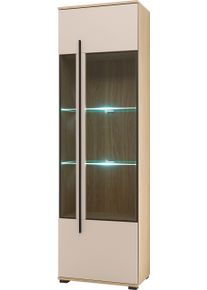 Vitrine Home Affaire "Cantara, Vitrinenschrank in Eiche Evoke, Wei&szlig; o Kaschmir, Standvitrine", beige (eiche cremona toro, kaschmir matt), B:60cm H:200cm T:37cm, Holzwerkstoff, Schr&auml;nke, Vitrine, schwarzer Stangengriff, ausreichend Stauraum, vielseitig einsetzbar