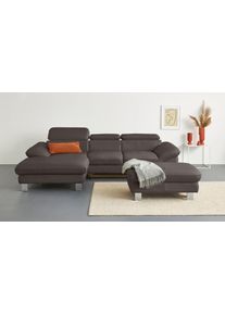 Ecksofa COTTA, braun (cacao), Sofas, B/H/T: 268cm x 73cm x 169cm, Leder PAMPAS, Recamiere links,mit Kopfteilverstellung,ohne Bettfunktion und Bettkasten, LEDER BEEFY (ein abgedecktes Spalt-Rindsleder) im Sitz und R&uuml;cken (Korpus in Kunstleder);Luxus-Kunstleder;Kunstleder SOFTLUX;Leder Pampas (echtes Rindsleder), R&uuml;ckseite mit schwarzem Spannstoff bezogen, Ecksofa, Kopfteilverstellung, optional Bett