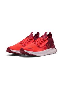 Laufschuh Puma "SOFTRIDE SYMMETRY FUZION LS", Damen, Gr. 44,5, ultra rot, garnet glow, glacial gray, Textil, Schuhe Laufschuh, f&uuml;r sportliche Aktivit&auml;ten und Lauftraining, mit SOFTFOAM+ Innensohle