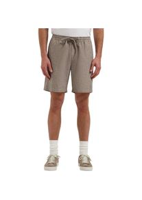 Dstrezzed Ds logan pinstripe short