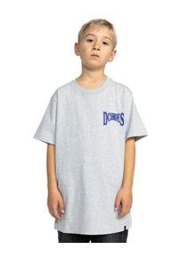 T-Shirt DC Shoes "Members Only", Jungen, Gr. 16(165-172cm), grau (light erdgrau), Obermaterial: 75% Baumwolle, 25% Baumwolle., Shirts T-Shirt