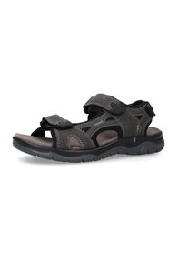 Sandale Dockers by Gerli, Herren, Gr. 47, dunkelgrau, Nubukleder, Schuhe Sandale, Sommerschuh, Klettschuh, Outdoorschuh, in Trekking-Optik