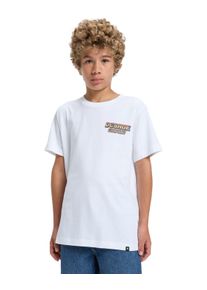 T-Shirt DC Shoes "Two Bit", Jungen, Gr. 14(155-164cm), wei&szlig;, Obermaterial: 75% Baumwolle, 25% Baumwolle., Shirts T-Shirt