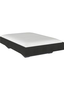 Futonbett Rauch "Phoenix", grau (grau hochglanz), B:145cm H:41cm L:206cm, Betten, Futonbett, ohne Kopfteil