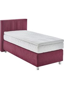 Boxspringbett, rot (bordeaux, rot), B:105cm L:210cm, Bezug: 100% Polyester;Polsterung: 100% Polyester, Westfalia Schlafkomfort, Komplettbetten, Boxspringbett, wahlweise mit Bettkasten und Topper