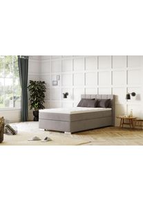 Boxspringbett COTTA "Simba erh&auml;ltlich in verschiedenen Breiten, Farben und H&auml;rtegraden", grau (elephant), L:209cm, Komplettbetten, Boxspringbett, Bezugsstoff: Struktur fein