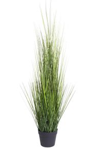 Kunstgras BOTANIC-HAUS "Gras Festuca", gr&uuml;n, B:33cm H:115cm T:33cm &Oslash;:33cm, Kunststoff, Kunstpflanzen, Kunstgras