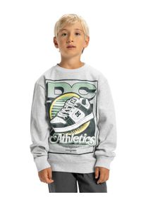 Sweatshirt DC Shoes "Manteca Tribute", Jungen, Gr. 16(165-172cm), grau (light erdgrau), Obermaterial: 55% Baumwolle, 25% Baumwolle, 20% Polyester., Sweatshirts Sweatshirt