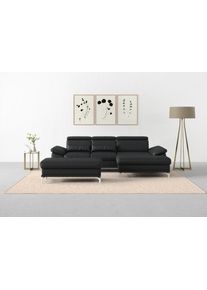 Sit & More Ecksofa SIT & MORE "Cabrio L-Form, B: 295 cm, mit Sitztiefen-, Arm- & Kopfteilverstellung", schwarz, B:295cm H:87cm T:180cm, Sofas, Ecksofa, 2 Nierenkissen, Federkern, optional Bettfunktion und Stauraum