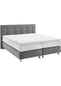 Boxspringbett, grau, B:195cm L:210cm, Bezug: Microvelours 100% Polyester;Polsterung: 100% Polyester, Westfalia Schlafkomfort, Komplettbetten, Boxspringbett, mit Kn&ouml;pfen in Kristalloptik, wahlweise mit Topper