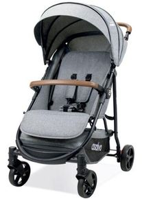 Asalvo Kinderwagen | grau
