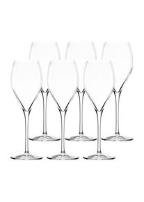Champagnerglas ST&Ouml;LZLE "Champagnergl&auml;ser Prestige 345 ml 6er Set transparent", bunt (transparent), Glas, Trinkgef&auml;&szlig;e, Champagnerglas