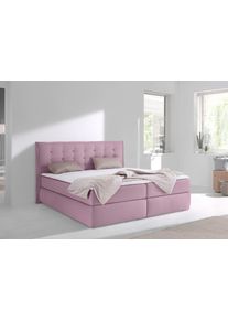 Boxspringbett Home Affaire "Sagres", rosa (ros&eacute;), B:215cm L:210cm, Feinstruktur(100% Polyester);Bezug der Spiegelfl&auml;che Matratzendrell aus 100% Polyester, Komplettbetten, Boxspringbett, Kopfteil mit 2farbiger Flatterbiese und zweifarbigen Kn&ouml;pfen