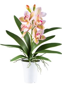 Kunstorchidee Creativ green "Orchidee Cymbidie", gr&uuml;n, H:53cm, Kunststoff, Kunstpflanzen, Kunstorchidee, mit real-touch-Bl&uuml;ten