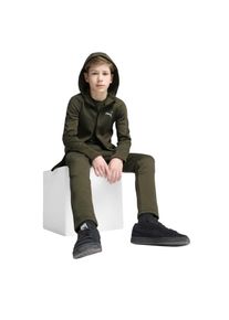 Puma Evostripe-hoodie met doorlopende rits voor kinderen (Donkere Olijf)