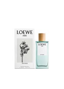 Luchtanthese Edp Vapo 100 ml
